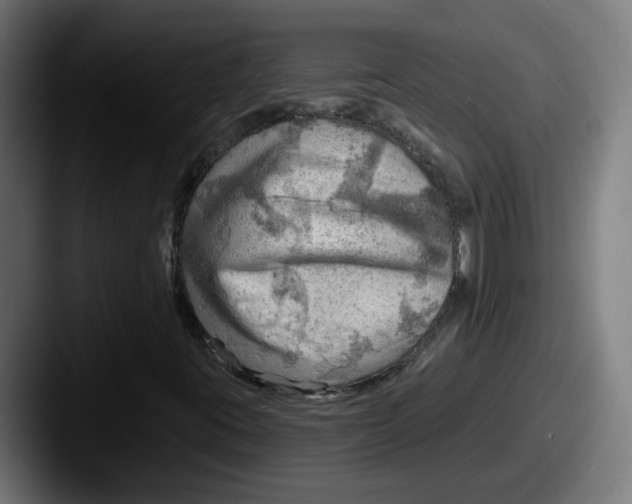 X0000087551395200705181058