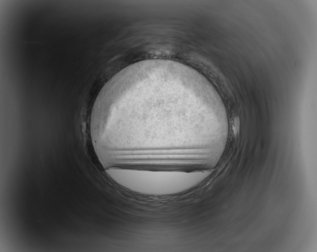 X0000087551396200705181058