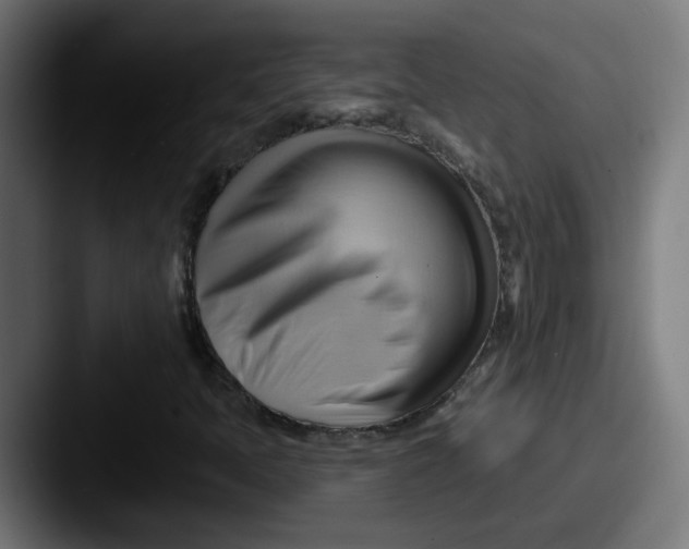 X0000087551397200705181058