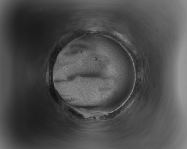 X0000087551398200705181058