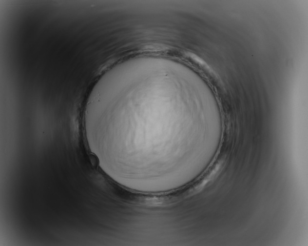 X0000087551401200705181058