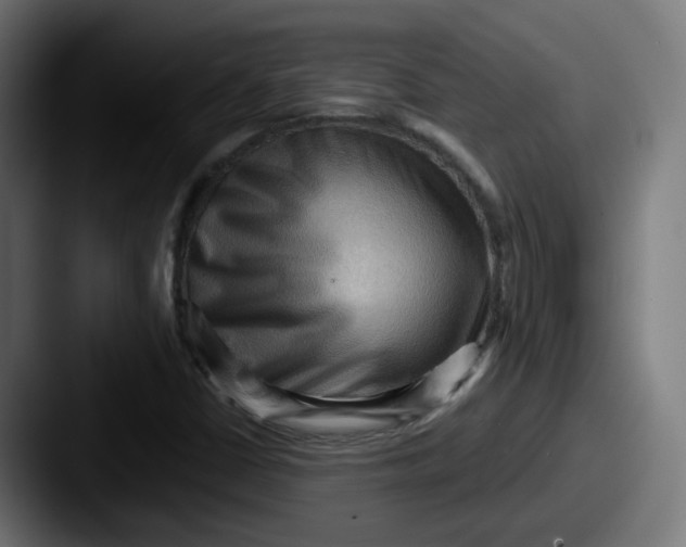 X0000087551402200705181058