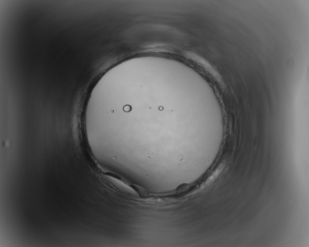 X0000087551405200705181058