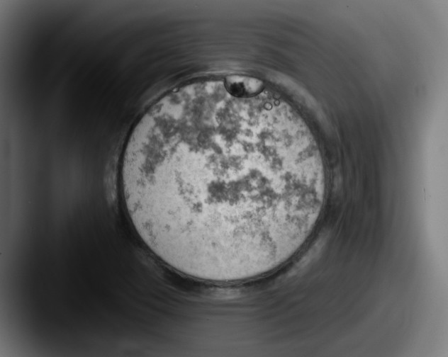 X0000087551409200705181058