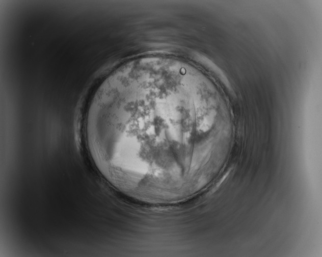 X0000087551411200705181058