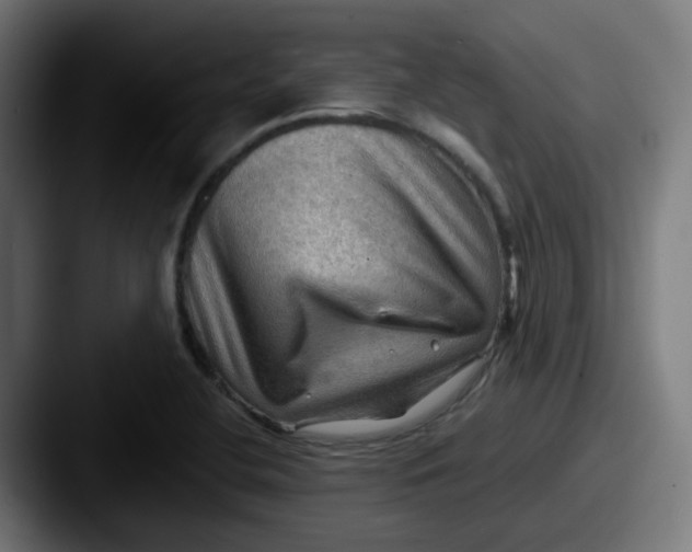 X0000087551412200705181058