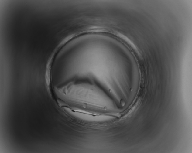 X0000087551413200705181058