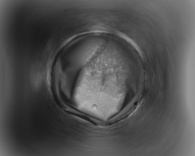 X0000087551415200705181058