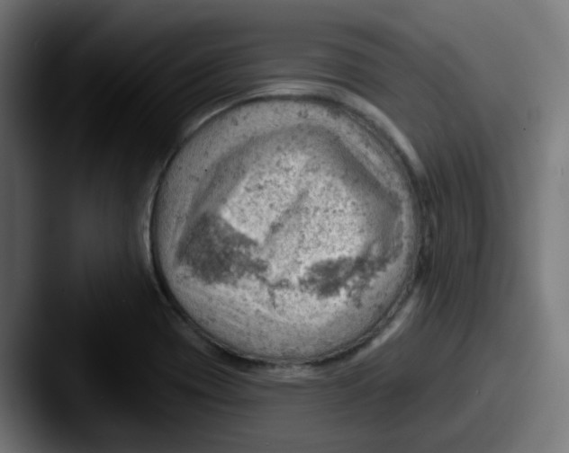 X0000087551417200705181058