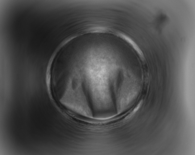 X0000087551418200705181058