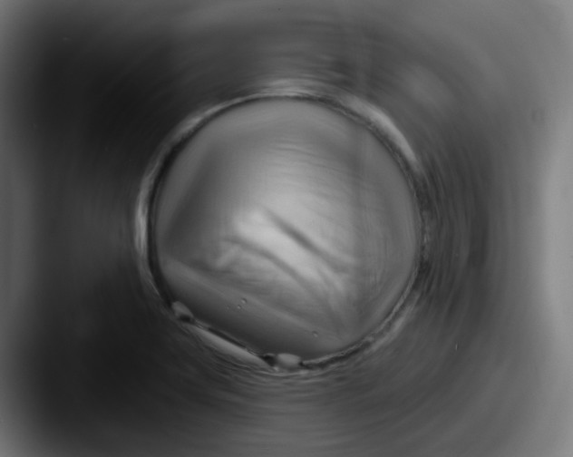 X0000087551419200705181058