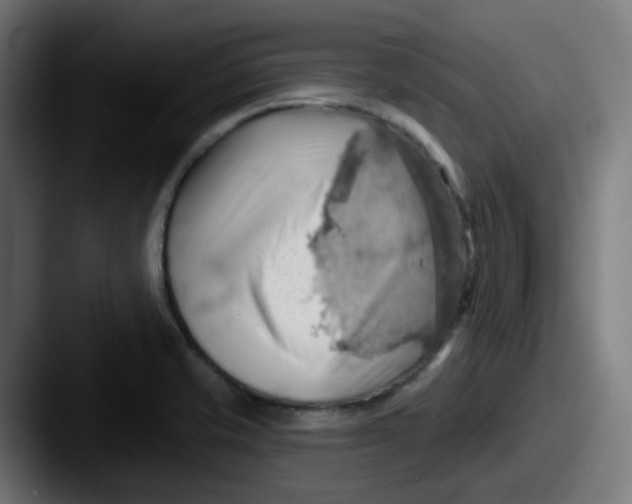 X0000087551421200705181058