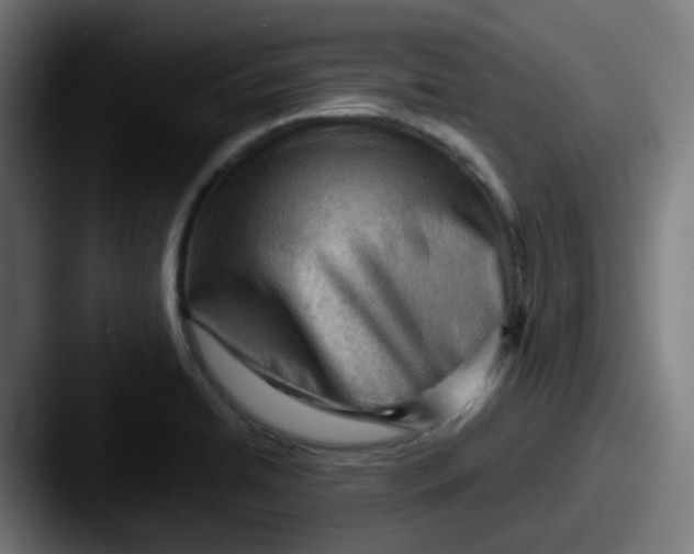 X0000087551422200705181058