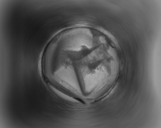 X0000087551423200705181058