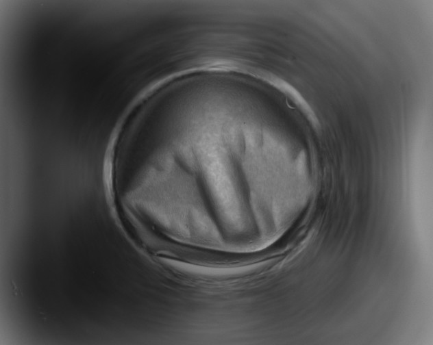 X0000087551424200705181058