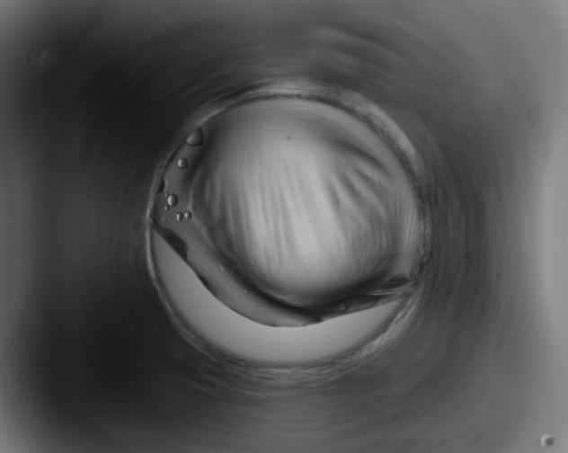 X0000087551425200705181058