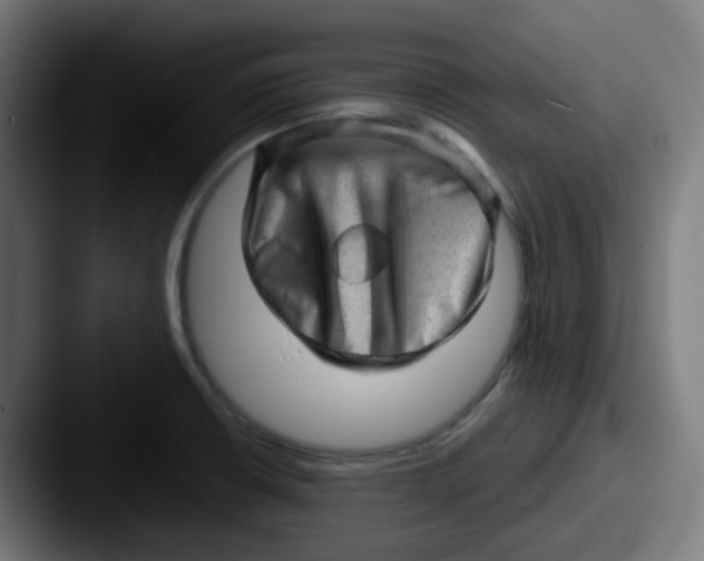 X0000087551426200705181058