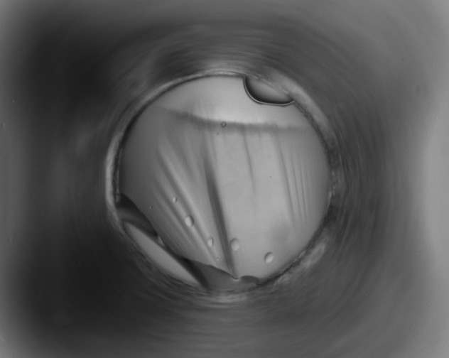 X0000087551427200705181058