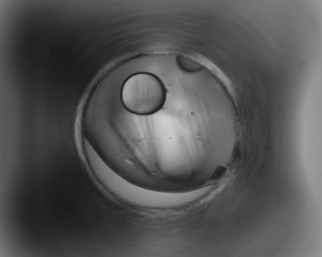 X0000087551429200705181058