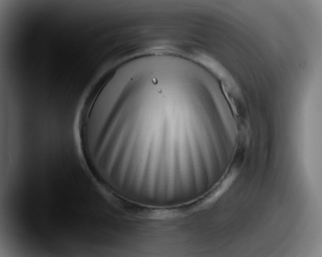 X0000087551430200705181058