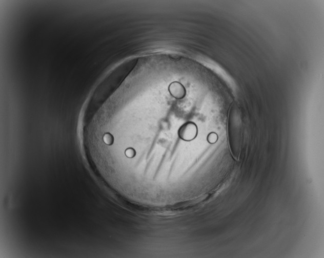 X0000087551431200705181058