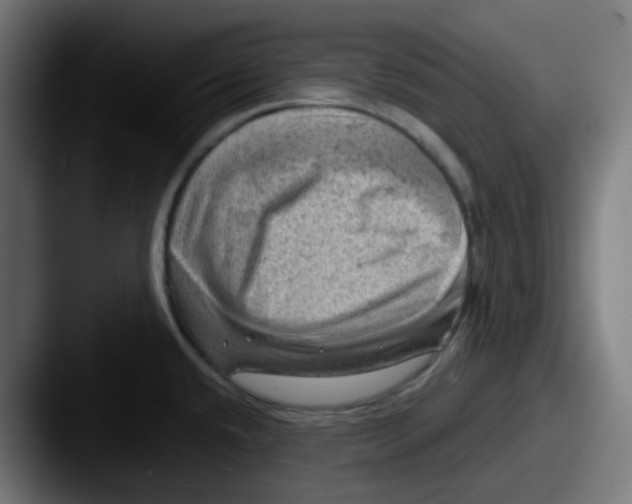 X0000087551432200705181058