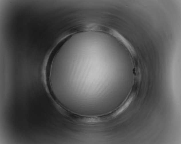 X0000087551434200705181058