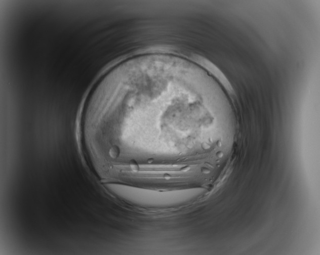 X0000087551436200705181058