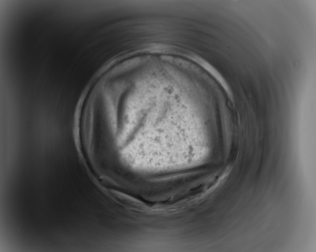 X0000087551437200705181058