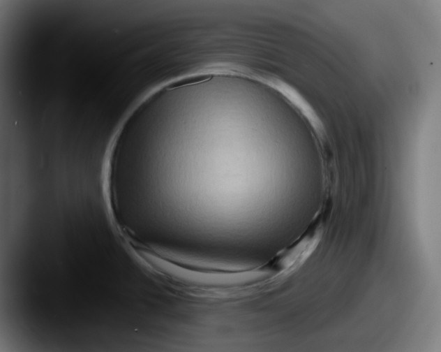 X0000087551438200705181058