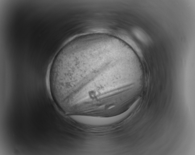 X0000087551439200705181058