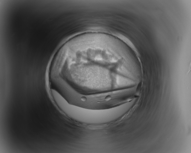 X0000087551440200705181058