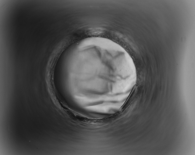 X0000087551441200705181058