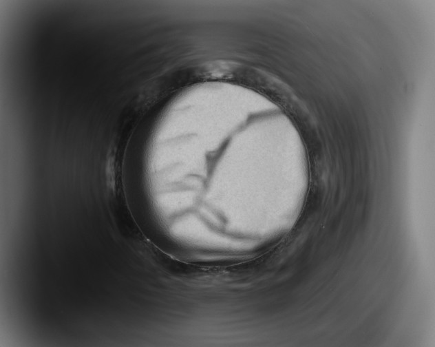 X0000087551442200705181058