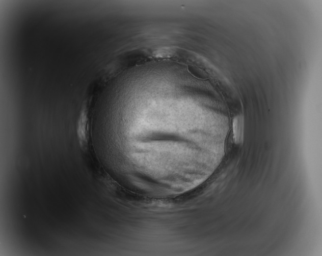 X0000087551443200705181058