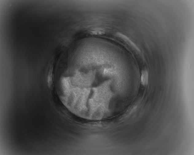 X0000087551444200705181058