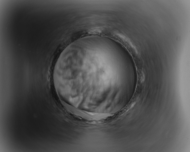 X0000087551445200705181058