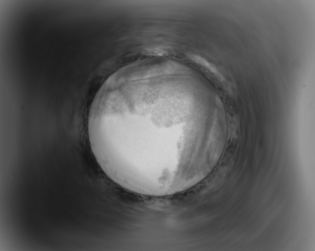 X0000087551446200705181058