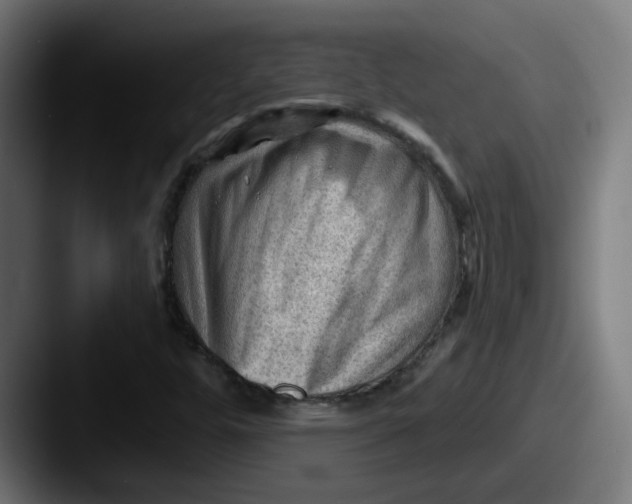 X0000087551448200705181058