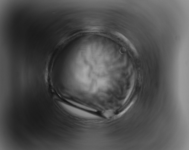 X0000087551449200705181058