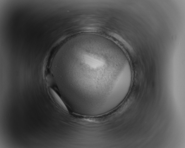 X0000087551450200705181058