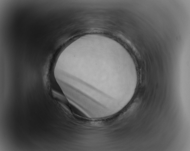 X0000087551453200705181058