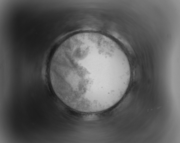 X0000087551454200705181058