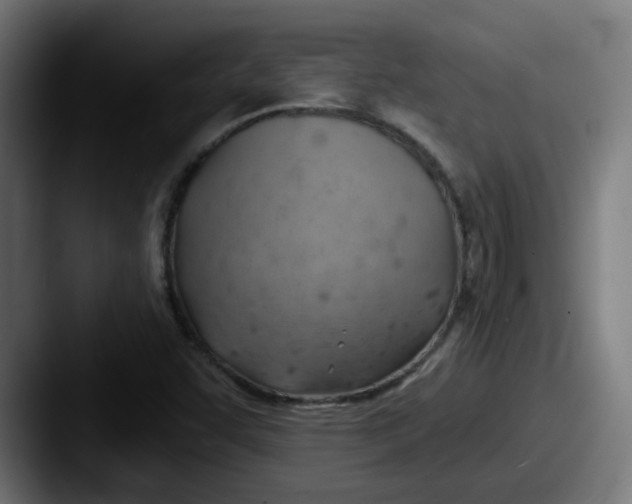 X0000087551455200705181058