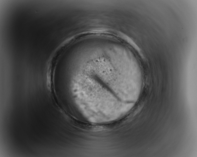 X0000087551456200705181058