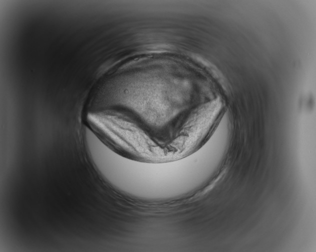 X0000087551457200705181058