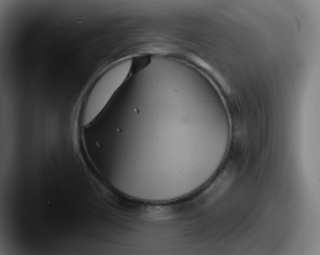 X0000087551459200705181058