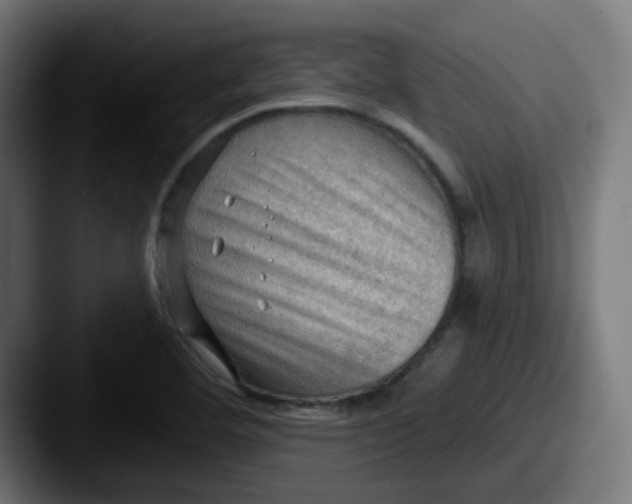 X0000087551460200705181058