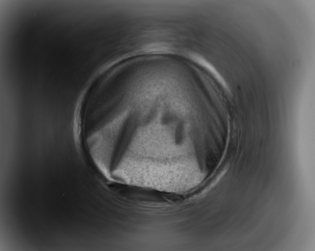 X0000087551461200705181058