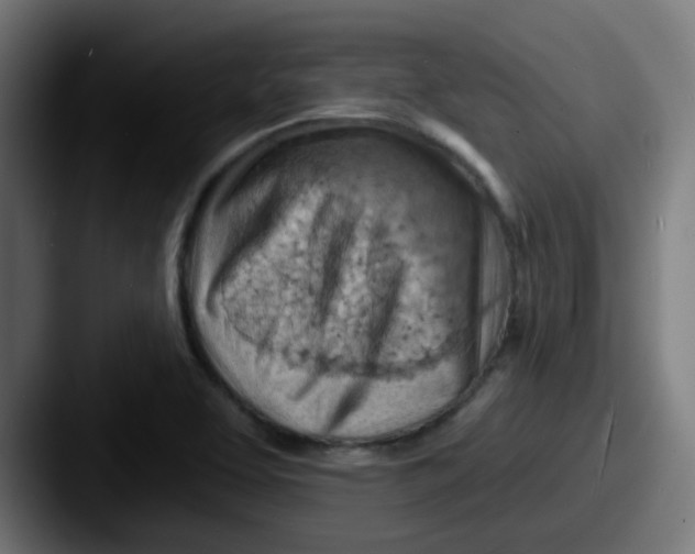 X0000087551463200705181058